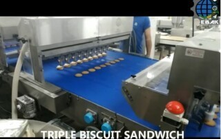 Biscuits Sandwich line Model SDWF ALN