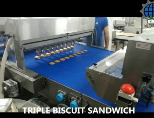 Installation of automatic line for biscuits filling, sandwich capping and sprinkling, at company “OVI & SARI”