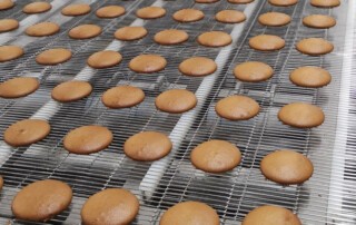 Νέος δοσομετρικός αποθέτης, κατάλληλος για ζύμη μαλακών μπισκότων (soft cookies)